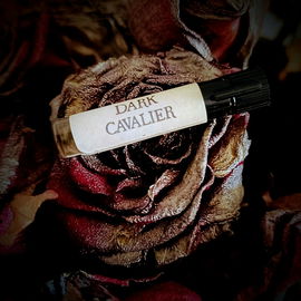 Dark Cavalier - Alkemia