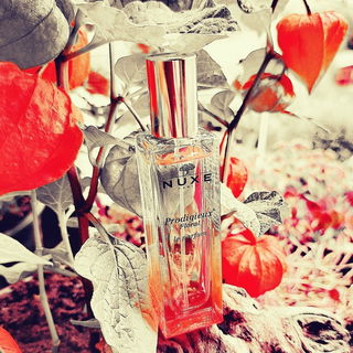 🏮ich freue mich sehr über all eure schönen Rückmeldungen, vielen lieben Dank dafür 🧡🏮