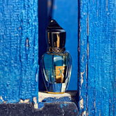 ... das kleine Nero(li)lein ;) (von Sweetsmell75)