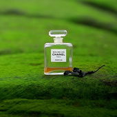 Frohes neues Duft-Jahr, ihr Lieben & herzlichen Dank für eure Blicke ❤️ (von EveMist)