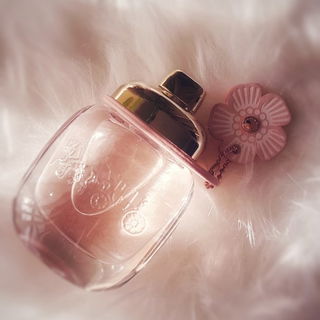 Coach Floral von Coach