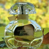 Lavendel´s Geburtstagsfoto :)) (by Lavendel18)