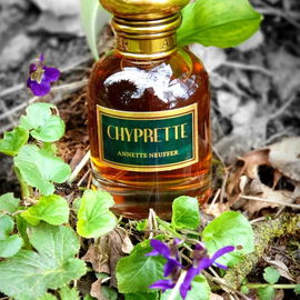 von Centifolia