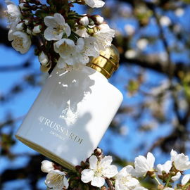 Trussardi Donna (2011) (Eau de Parfum) - Trussardi