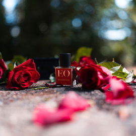 Tonkin Musk - Ensar Oud / Oriscent