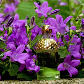 Aqua Allegoria Limon Verde - Guerlain