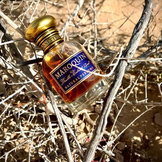 Wüstengeäst oder wüstes Geäst