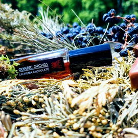 California Chocolate - Olympic Orchids Artisan Perfumes