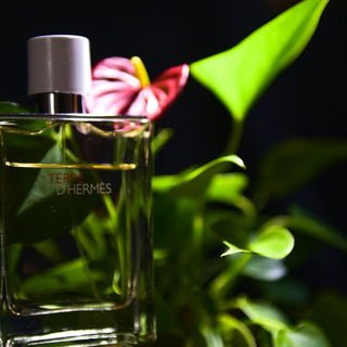 Terre d'Hermès Eau Très Fraîche - Hermès