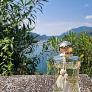 Hibiscus Mahajád - Maison Crivelli