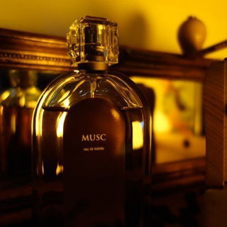 Musc (Eau de Toilette) - Molinard
