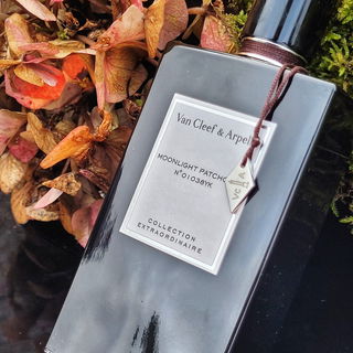 Moonlight Patchouli von Van Cleef & Arpels