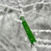 💚Grün wie Hoffnung 💚. Ich wünsche euch einen wunderschönen Wintertag und bedanke mich für euren Besuch 🫶 (by Taunusblume)