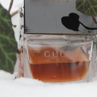 Gucci pour Homme (2003) (Eau de Toilette) von Gucci