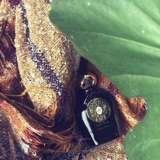 Hale Bopp by Tiziana Terenzi