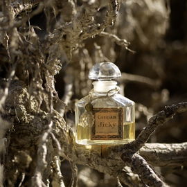 Jicky (Extrait) - Guerlain