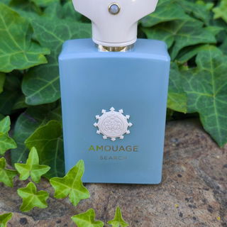 Search von Amouage