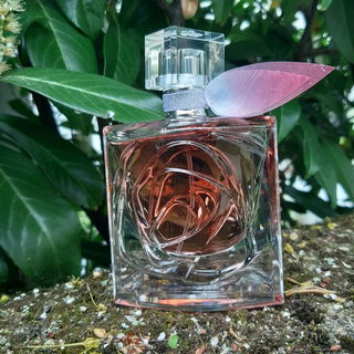 💙🥰🎀Mach ne Schleife um das schöne Leben und genieße es. Herzlichen Dank für Euren Besuch.  Ich freue mich sehr darüber. Lg🎀🥰💙