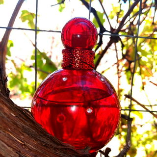 Hidden Fantasy - Britney Spears