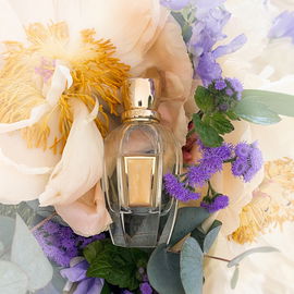 Lazy Sunday Morning (Eau de Toilette) - Maison Margiela