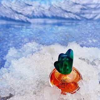 Ein wunderbar blumig-würziger Duft, nicht nur für den Sommer geeignet ❄️🤍❄️ Lieben Dank fürs Vorbeischauen 🤍