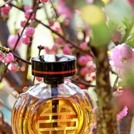 # Mandelblüte #
