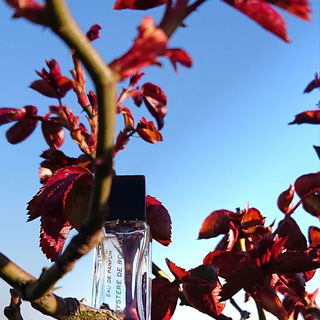 Mystère (Eau de Parfum) - Rochas