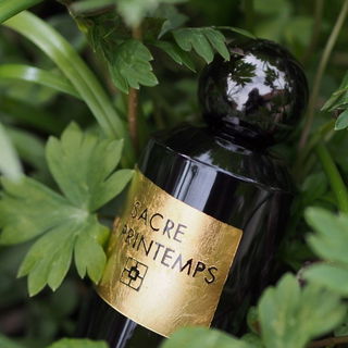 Sacre du Printemps by YS Uzac