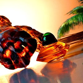 Auflösung: Wie Greifarme aus Lava wirken die angeleuchteten Muscheln 🦀🦪
