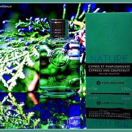 Nature - Cyprès et Pamplemousse - Yves Rocher