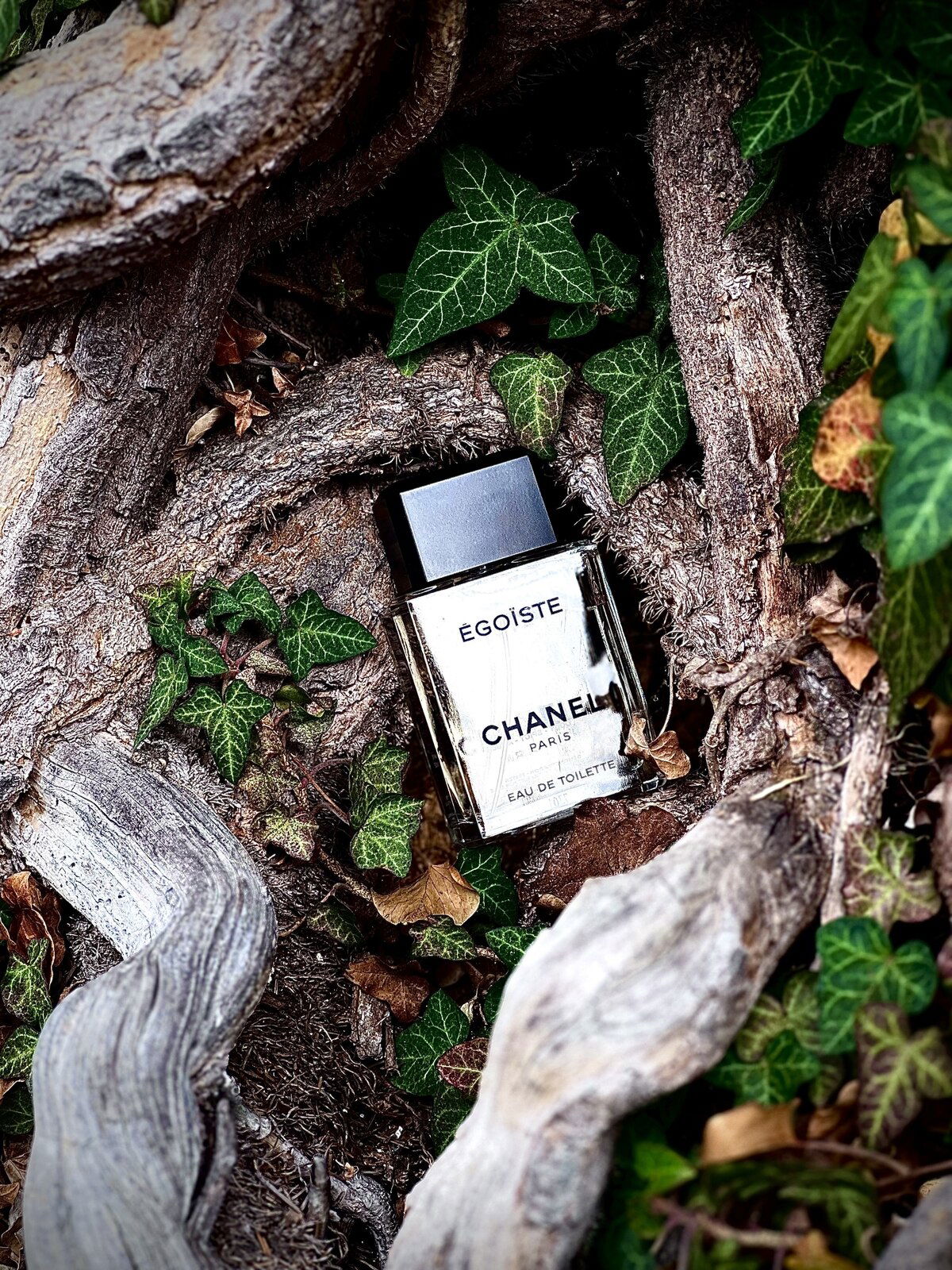 CHANEL ÉGOÏSTE Eau de Toilette 75ml Egoiste Chanel cologne - a fragrance for men 1990