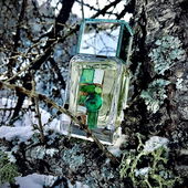 Mein Talisman (by Rosie88)