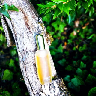 Aromatics Elixir (Eau de Toilette) by Clinique