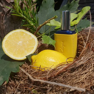 Citron d'Érable by Atelier Cologne
