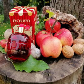 Vanille & Sa Pomme d'Amour - Jeanne Arthes