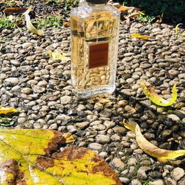 Ein goldenes Parfum für den goldenen Herbst!