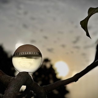 1881 pour Femme (1995) (Parfum) von Cerruti