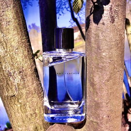 Vibrant Leather (2018) (Eau de Parfum) - Zara