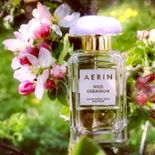 Mein Zwergapfel blüht wie 'wild' (by Gandix)