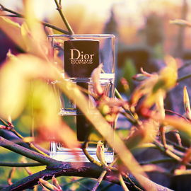 Dior Homme (2020) (Eau de Toilette) - Dior