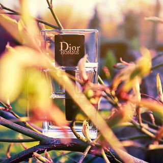 Dior Homme (2020) (Eau de Toilette) - Dior