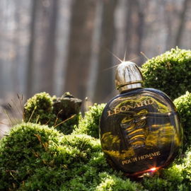 Paco Rabanne pour Homme (Eau de Toilette) - Rabanne