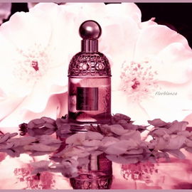 Aqua Allegoria Flora Rosa - Guerlain