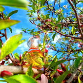 ✨🖤🌞🌈✨ (von Azahar81)