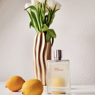 Terre d'Hermès Eau Givrée - Hermès