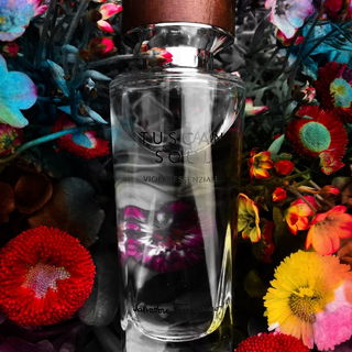Viola Essenziale (Eau de Toilette) von Salvatore Ferragamo