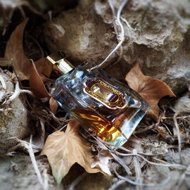 Voyage sur la Route des Épices - Ayurvédique Oriental (Eau de Parfum) - La Sultane de Saba