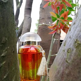 Noble Potion - The Merchant Of Venice