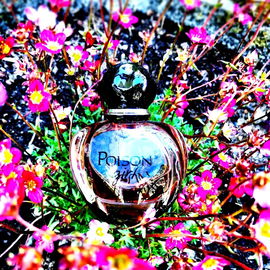 Poison Girl (Eau de Toilette) - Dior