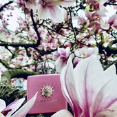 Der Duft hält länger, als die Blüten blühen ;-P (von Rosie88)